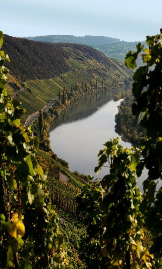 מלון Klusserath Weingut Berweiler מראה חיצוני תמונה